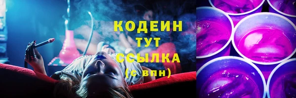 крисы Аркадак