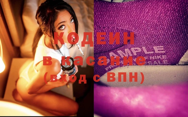 крисы Аркадак
