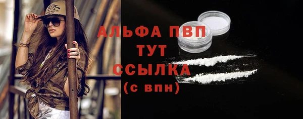 крисы Аркадак