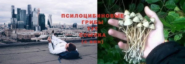 соль курить ск Арсеньев