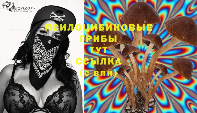 Галлюциногенные грибы MAGIC MUSHROOMS  Ленинск-Кузнецкий 